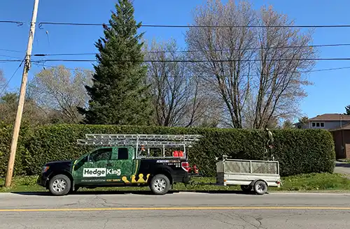 Hedge Trimming Ottawa