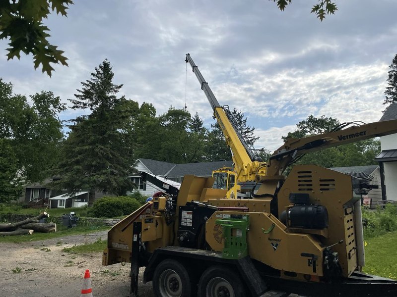 Tree King crew with loader and chipper during a removal