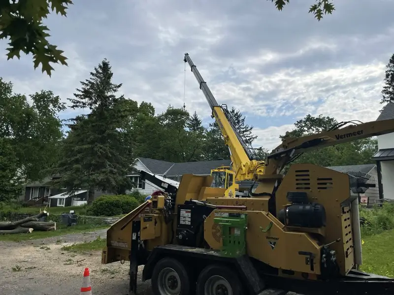 How Much Does Tree Removal Cost in Ottawa?