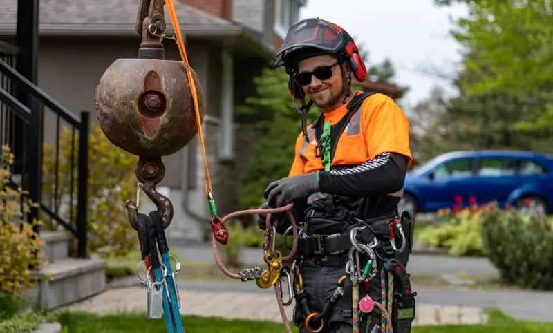 Ottawa Tree Trimming, Ottawa Tree Pruning