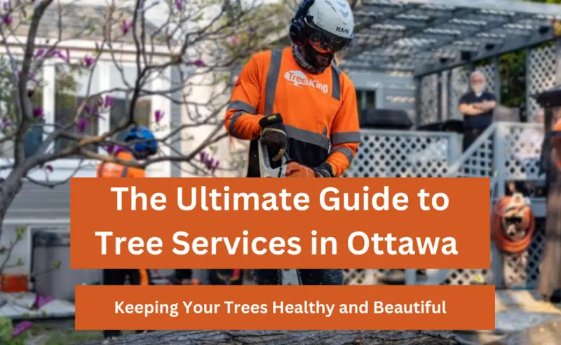 Tree Services Ottawa: Comprehensive Guide to Healthy, Beautiful Trees