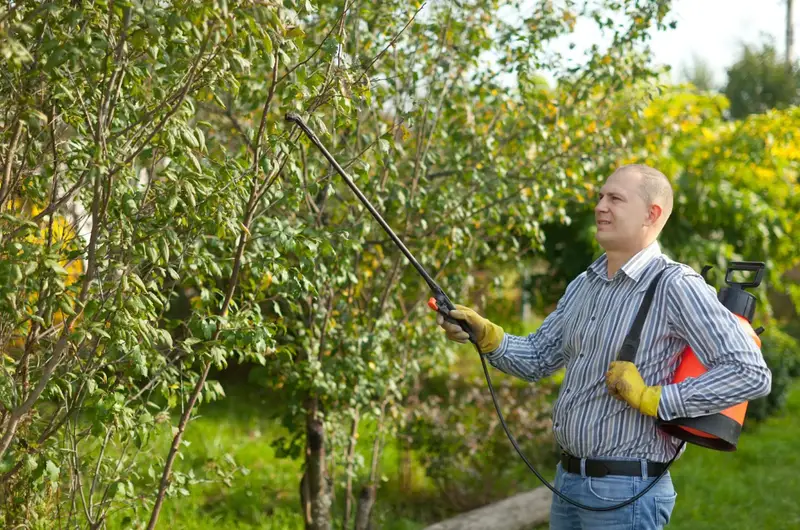 Common Tree Pruning Mistakes Homeowners in Ottawa Should Avoid